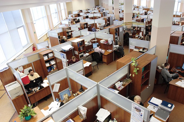 obligaciones empresa 50 trabajadores