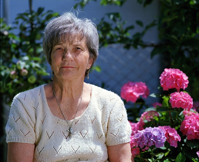 ¿Las reformas de pensiones en Dinamarca moldearán el futuro de España en 2025? 2 futuro pensiones Dinamarca